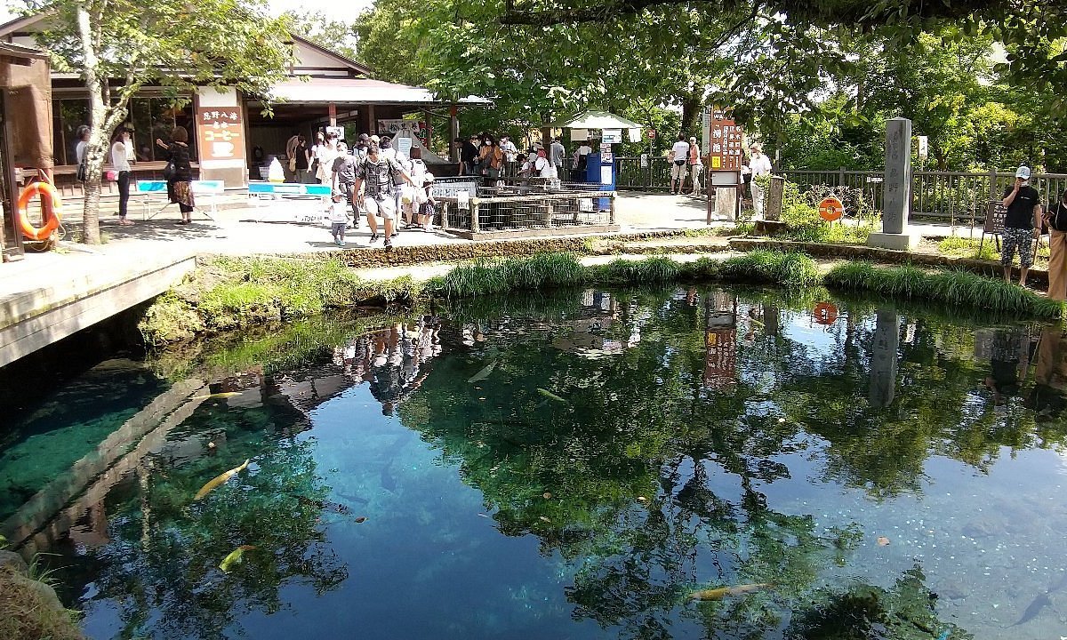 🌳 모토하마 녹지(元浜緑地) 이미지 4